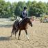 Brownland Farm Fall I & II